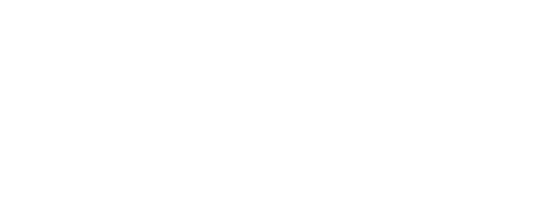 Maestro Dobel logo
