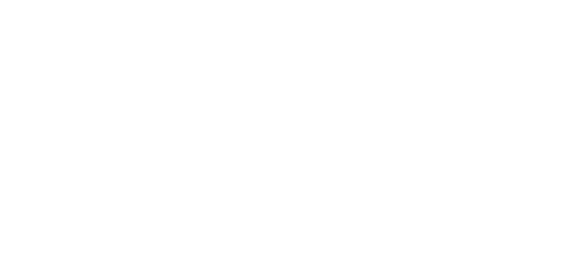 Lick Energy logo